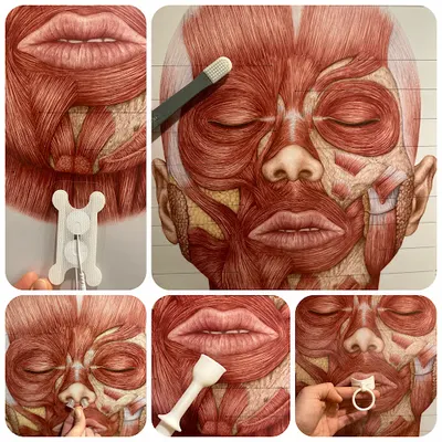 Strefa Mowy Joanna Baran-Gnatowska